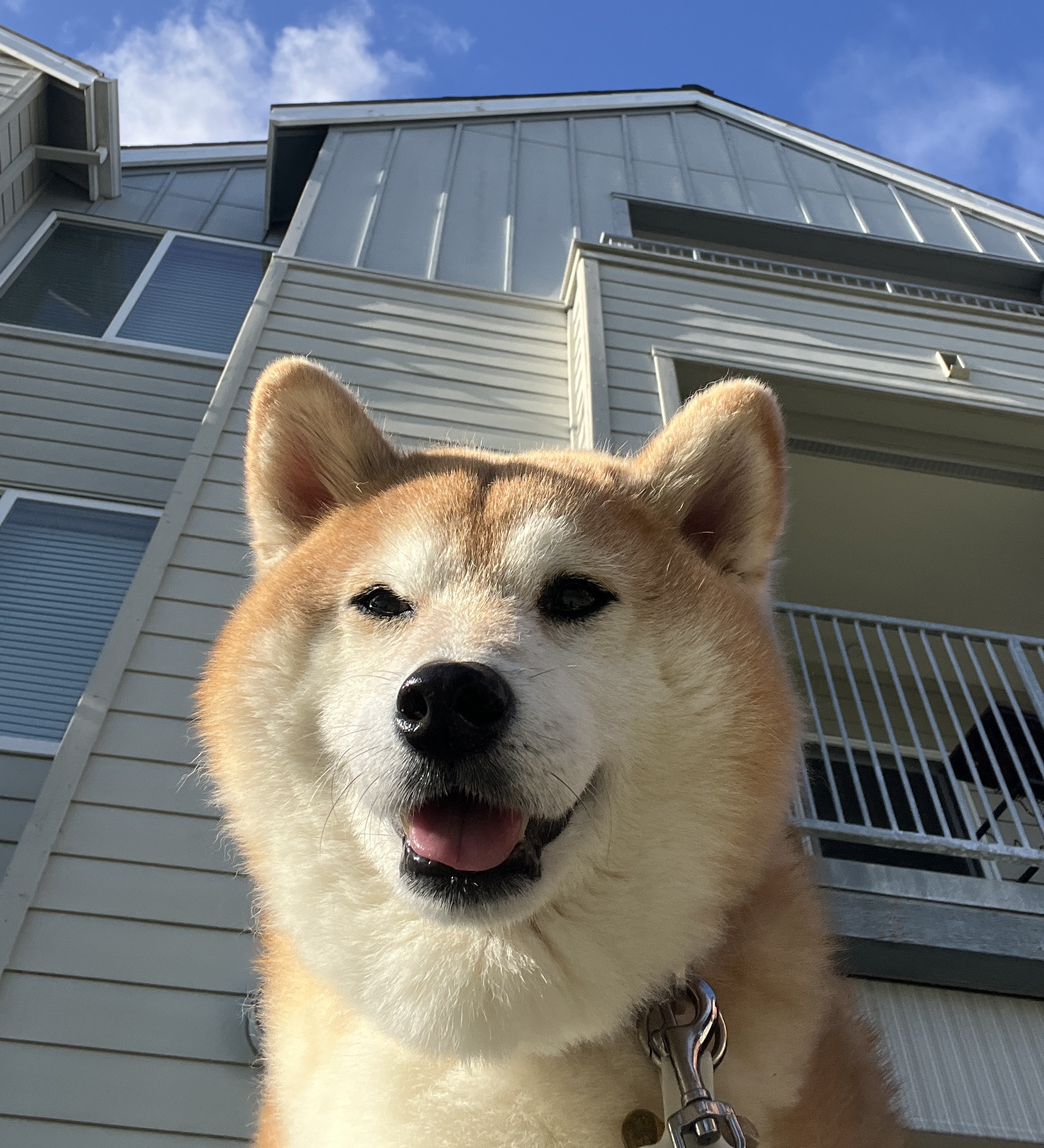You?